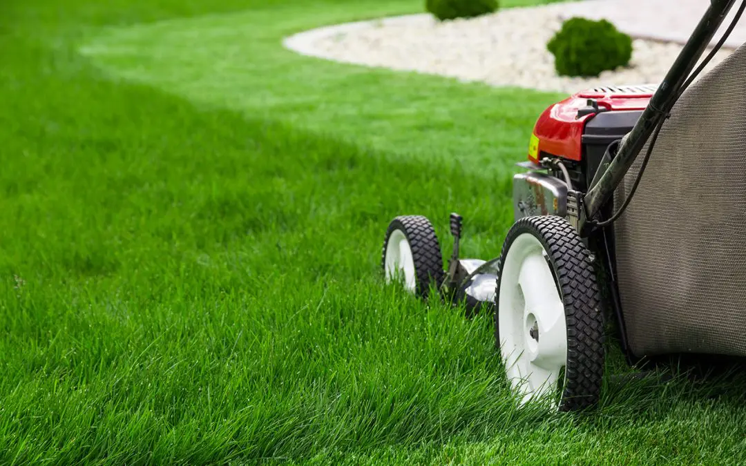 grow a beautiful lawn