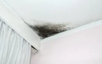 6 Health Hazards in the Home