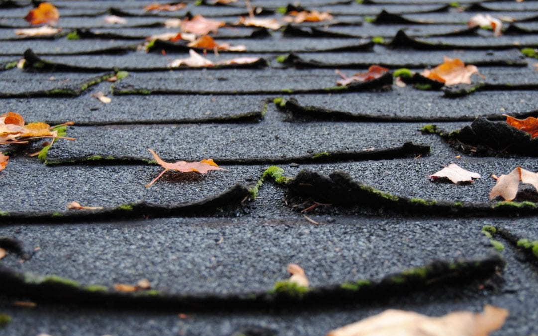time to replace your roof