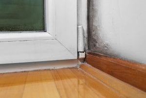 prevent mold in your home